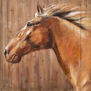 Schilderij paard op hout 70x70