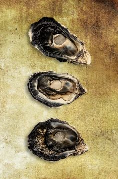 Oesters op glas 70x100